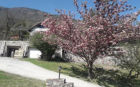 La Petite Chataigne