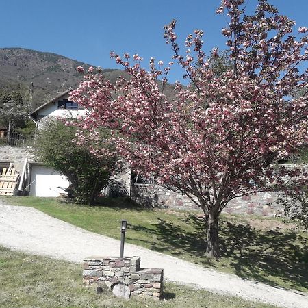 Villa La Petite Chataigne à Valdeblore Extérieur photo