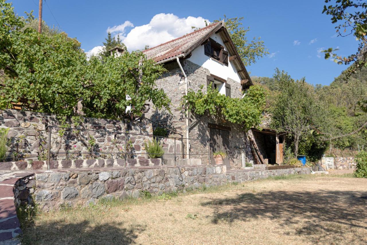 La Petite Chataigne Valdeblore Extérieur photo