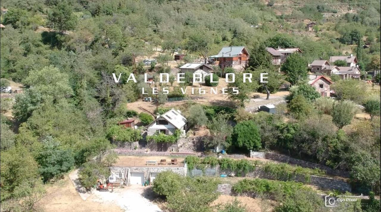 La Petite Chataigne Valdeblore Extérieur photo