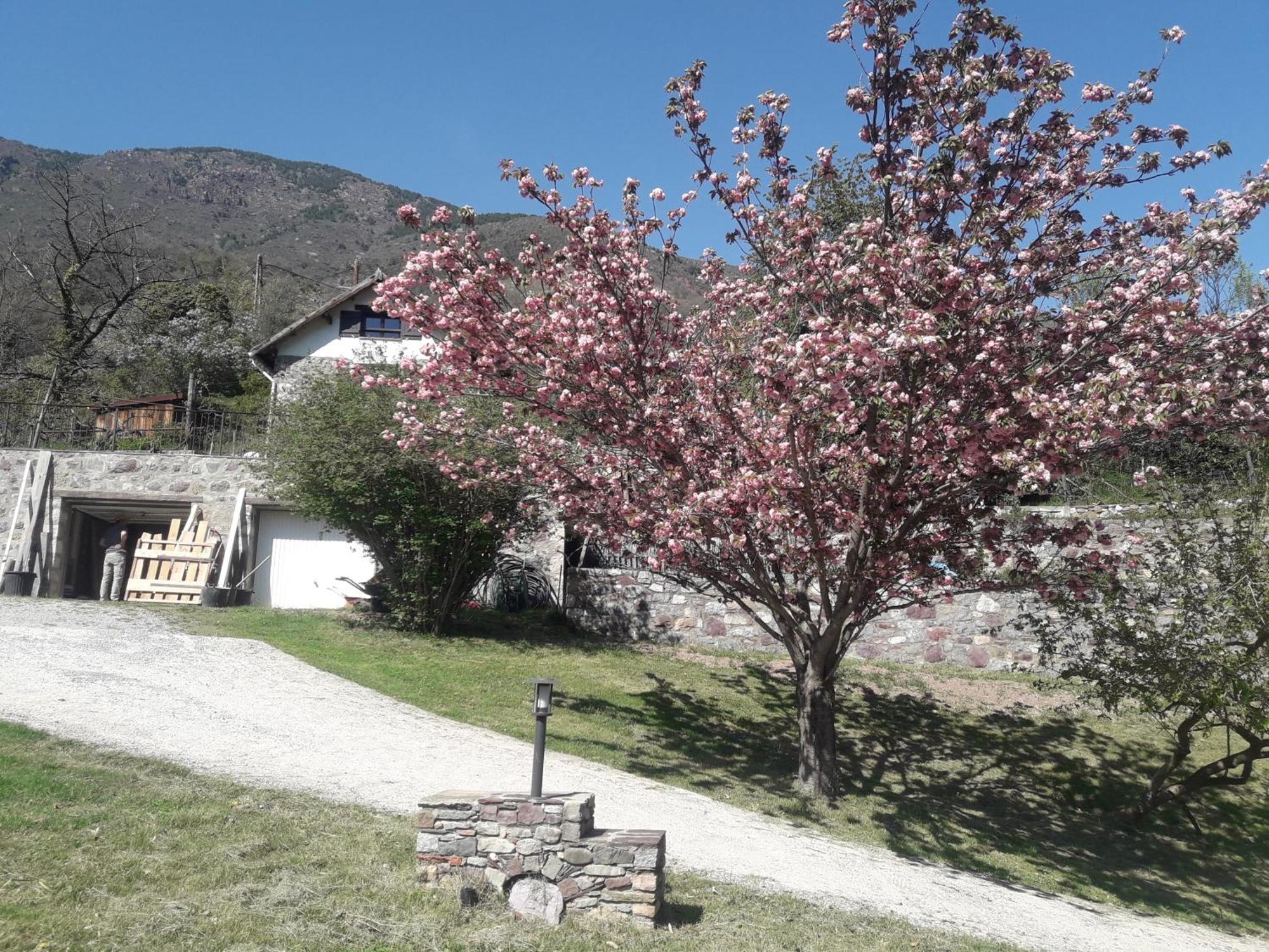 La Petite Chataigne Valdeblore Extérieur photo